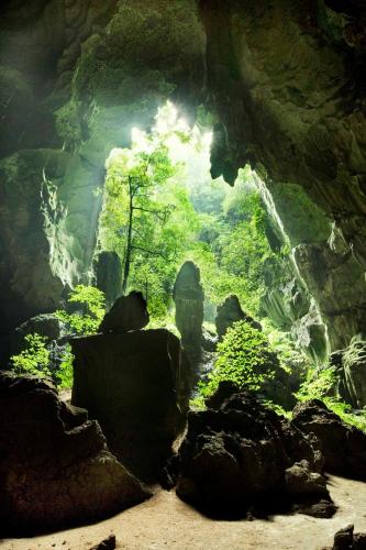 a cave filled with rocks and green vegetation at Hotel Felda Residence Tekam , PPP Tun Razak in Kampong Sungai Batu