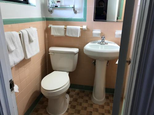 Ett badrum på Silver Princess Motel