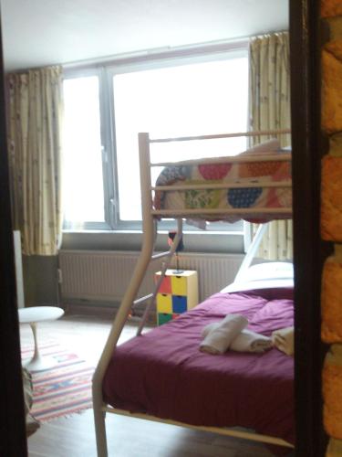 a bedroom with a bunk bed and a window at Apartotel Des Jardins De La Fontaine Qui Bout in Charleroi