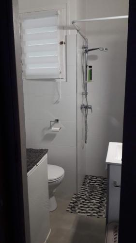 a white bathroom with a shower and a toilet at EL GRECO in L'Escala