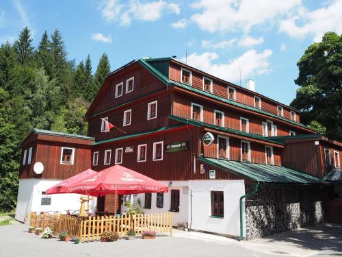 a large building with a red umbrella in front of it at Hotel Alba in Deštné v Orlických horách