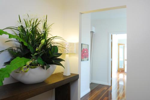 a plant in a white vase sitting on a counter at The Ridge Gloucester in Gloucester