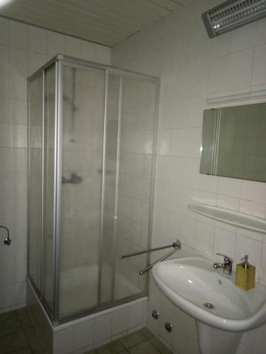 a bathroom with a shower and a sink at Hotel Leppiner Hof - B&B FRÜHSTÜCKSPENSION in Arendsee