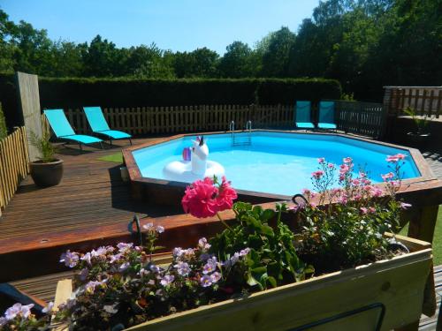uma piscina com um cisne num jardim em la maison des oiseaux em Vandrimare