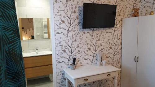 ein Bad mit einem Waschbecken und einem TV an der Wand in der Unterkunft la maison des oiseaux in Vandrimare