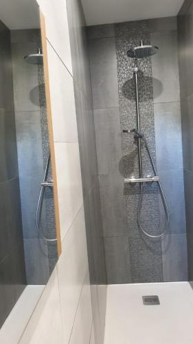 um chuveiro numa casa de banho com uma porta de vidro em la maison des oiseaux em Vandrimare