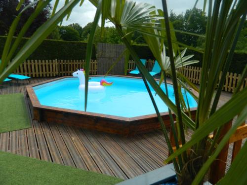 uma piscina num deque com um cisne em la maison des oiseaux em Vandrimare