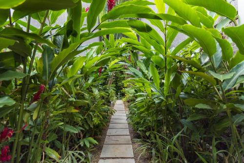 a path through a garden with green plants at Mon Choisy Beach R. in Mont Choisy