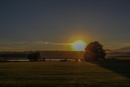 een zonsondergang boven een veld met een boom op de voorgrond bij Moorcroft Manor Boutique Country Hotel in Himeville