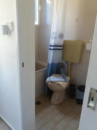 a bathroom with a toilet and a shower curtain at Irene's Studio in Kalymnos