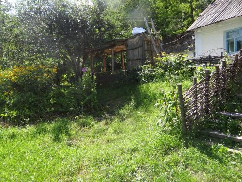 Zahrada ubytování Maliovnytsya