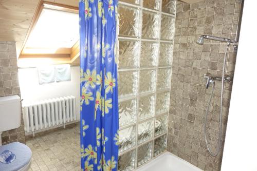 baño con ducha con cortina azul en Atelierhaus Ferienwohnungen en Fischen