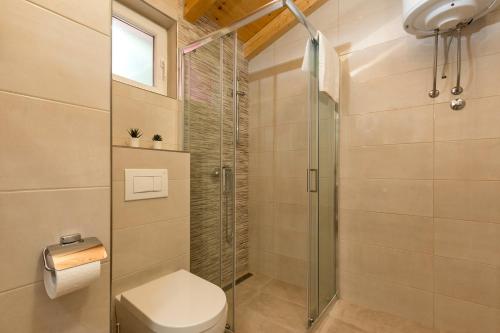 a bathroom with a toilet and a glass shower at House Bumbiste 1703 in Banjole