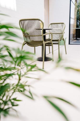 two chairs and a table in a room with plants at Hotel du Bassin in Ostend
