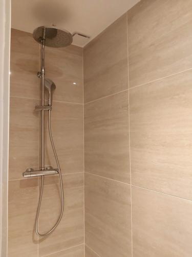 une douche avec pommeau de douche dans une salle de bain dans l'établissement L'annexe de ma cabane, à Bordeaux