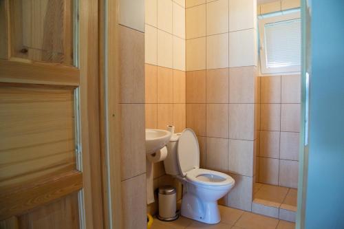 łazienka z toaletą i umywalką w obiekcie Camping Oaza Błonie Kórnik Domki Standard Plus - 3 pokoje w Kórniku