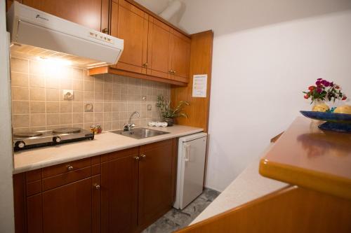 uma cozinha com armários de madeira e um lavatório em Filoxenia Apartments 2 em Palaiochora