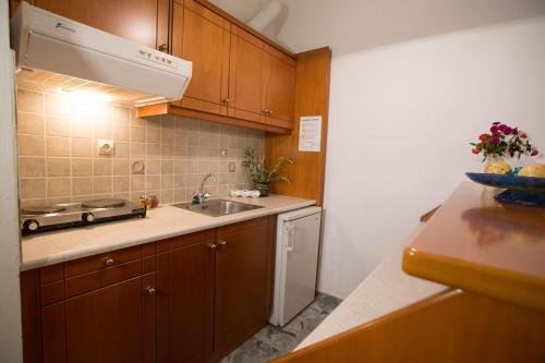 Kuchyňa alebo kuchynka v ubytovaní Filoxenia Apartments 2