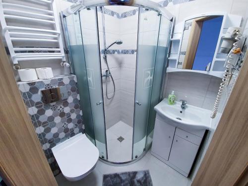 a bathroom with a shower and a toilet and a sink at Villa Róża pokoje & apartamenty in Łeba