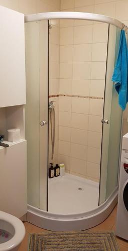 a shower with a glass door in a bathroom at Palanga-Smilgu. g. in Palanga
