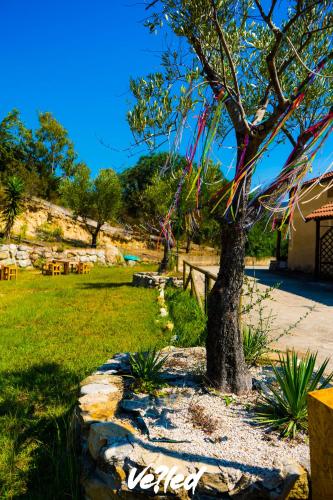 Taman di luar B&B La Terra di Parmenide