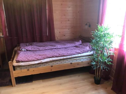 a small bed in a room with two plants at Stuga in Romakloster