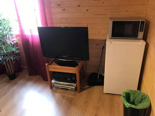 a television sitting on a stand next to a refrigerator at Stuga in Romakloster