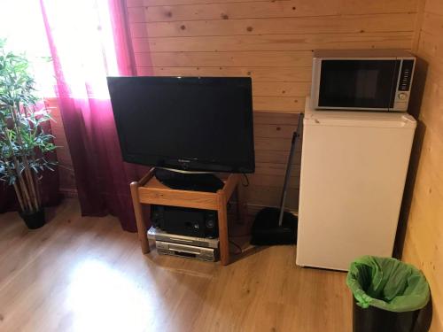 TV a/nebo společenská místnost v ubytování Stuga Roma Gotland