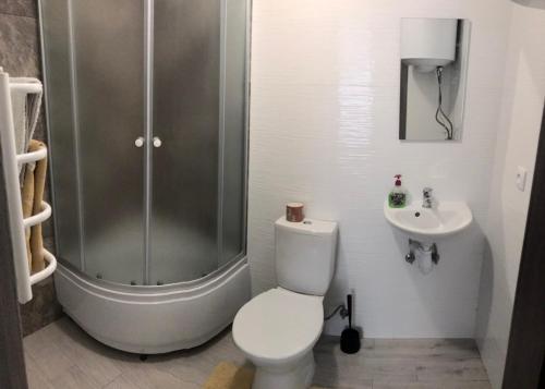 y baño con ducha, aseo y lavamanos. en Міни - готель в центрі Apartment in Center, en Rivne