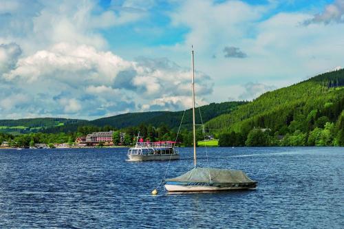 twee boten in een grote hoeveelheid water bij Maritim Titisee Hotel in Titisee-Neustadt