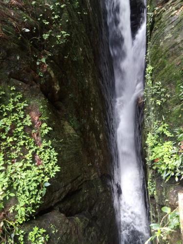 a waterfall on the side of a rock wall at Evergreen Villa - Sinharaja in Deniyaya