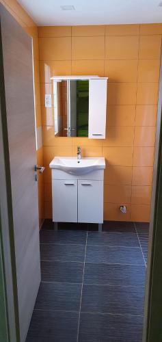 a bathroom with a white sink and a mirror at Apartments Akacijev Izvir in Miklavž na Dravskem Polju