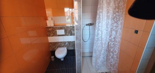 a small bathroom with a toilet and a shower at Apartments Akacijev Izvir in Miklavž na Dravskem Polju