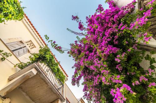 a bunch of purple flowers hanging from a building at Aggelikoula Rooms in Tinos