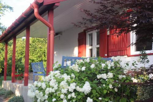 a porch with a blue chair and white flowers at Nagymajor Birding Lodge in Tiszacsege