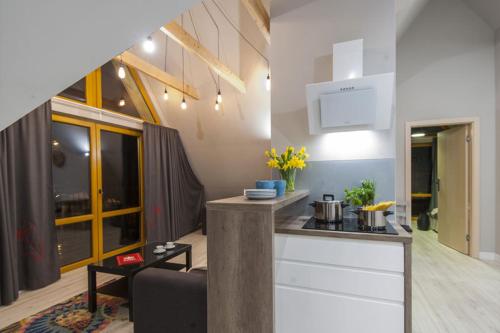 Apartament Bory DeLux