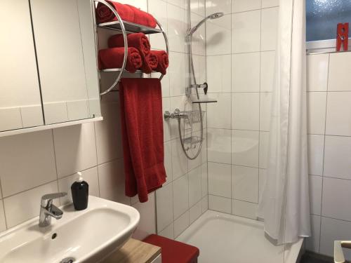a bathroom with a sink and a shower and a tub at SCHWARZWALDHIRSCH in Unterkirnach