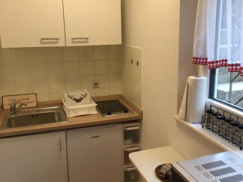 a kitchen with a sink and a counter top at SCHWARZWALDHIRSCH in Unterkirnach