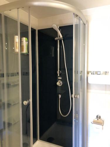 a shower with a glass door in a bathroom at MaximilianHaus in Zell an der Mosel
