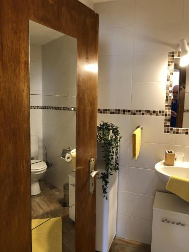 a bathroom with a toilet and a sink at MaximilianHaus in Zell an der Mosel