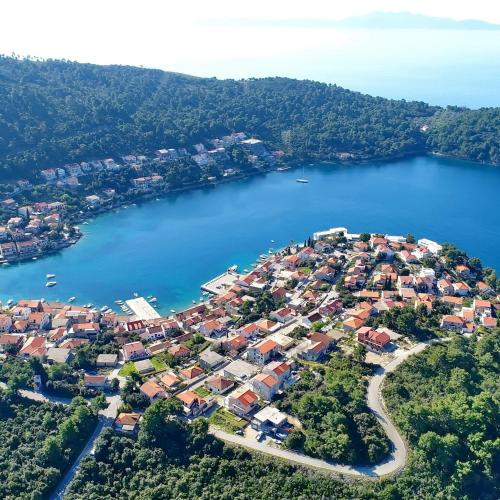 an aerial view of a small island in a body of water at Apartments Peselj in Smokvica