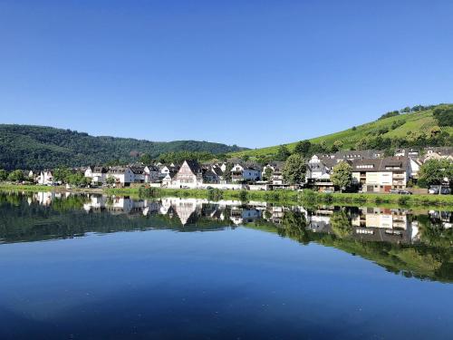 a large body of water with houses in the background at MaximilianHaus in Zell an der Mosel
