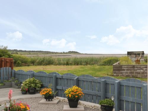 a blue fence with potted plants and a field at Sandpiper in Dumfries
