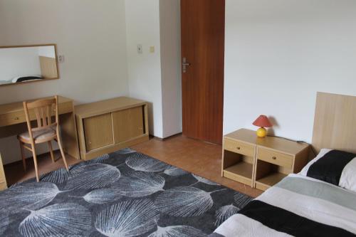 a bedroom with a bed and a desk and a chair at Ubytovanie v súkromí Nová Baňa in Nová Baňa