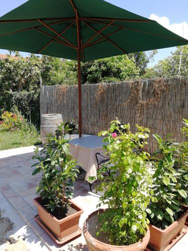 a table with a green umbrella and some plants at Casa di Vania in San Feliciano