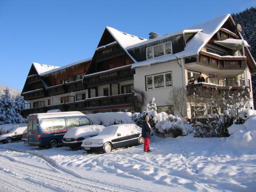 a person standing in the snow in front of a building at Sonnenhof-Willingen in Willingen
