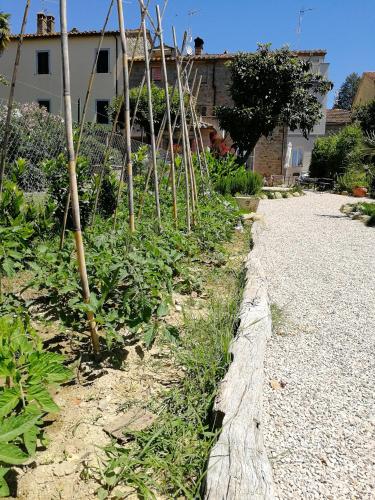 a garden with a row of trees and plants at Casa di Vania in San Feliciano