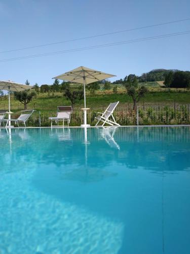 Gallery image of Agricampeggio Abbruzzetti in Marina Palmense