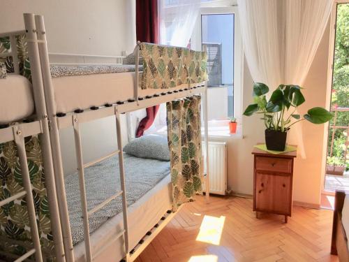 um quarto com 2 beliches e uma janela em Green House em Cracóvia