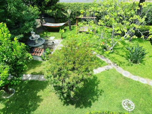 an aerial view of a garden with a boat at B&B Villa dei Fiori in SantʼEufemia Lamezia